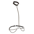 Load image into Gallery viewer, Euphoria Collection Chain Halter/Collar & Leash