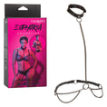Load image into Gallery viewer, Euphoria Collection Chain Halter/Collar & Leash