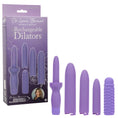 Load image into Gallery viewer, Dr. Laura Berman Rechargeable Dilators Set Of 4 Locking Sizes Plus Sleeve