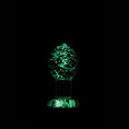 Load image into Gallery viewer, Firefly Glass Plug Medium Clear