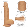 Load image into Gallery viewer, Dual Density Silicone Studs 6.25" Ivory