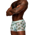Load image into Gallery viewer, Sheer Prints Seamless Sheer Short Flamingo Medium