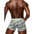 Load image into Gallery viewer, Sheer Prints Seamless Sheer Short Flamingo X-Large
