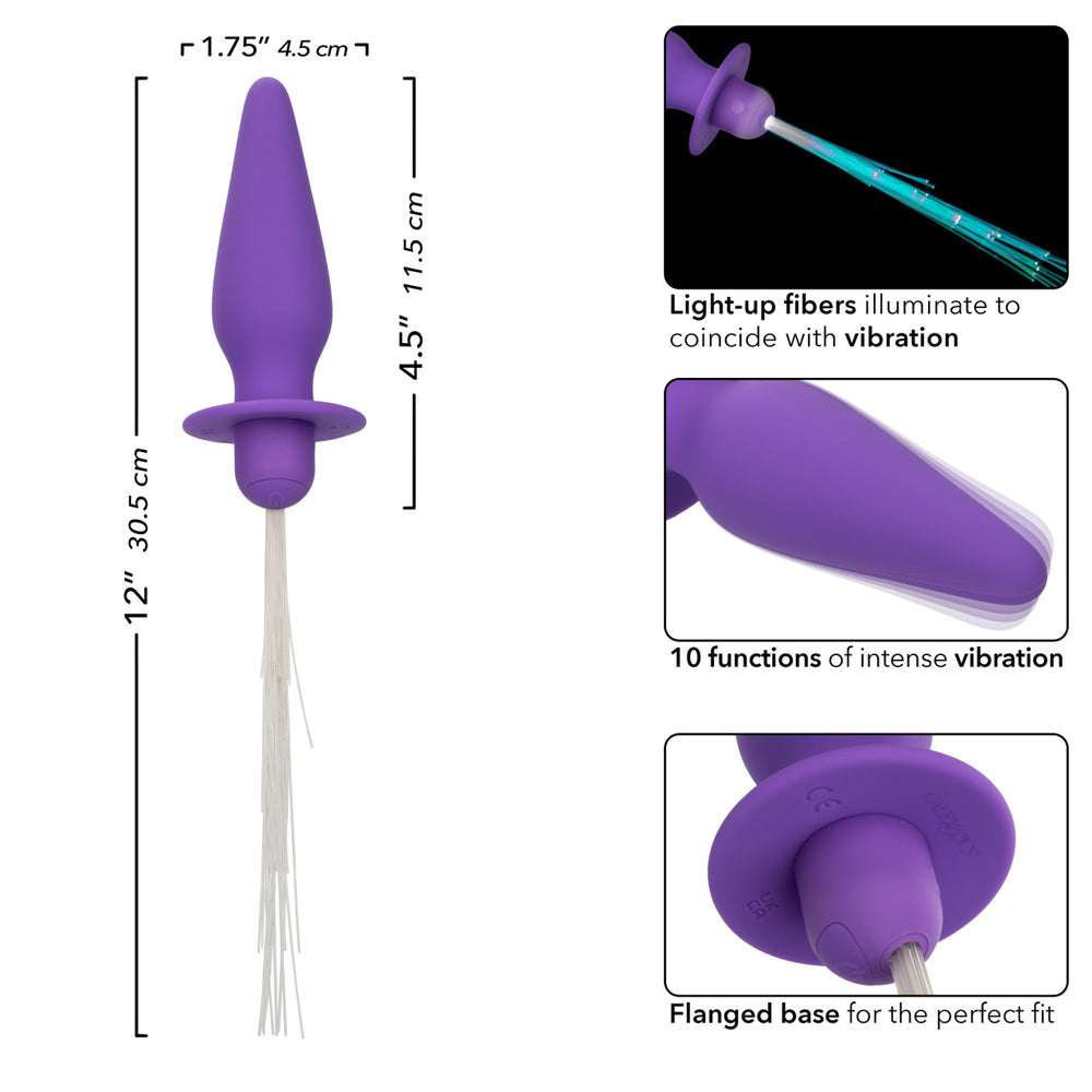 Southern Lights Vibrating Light Up Anal Probe Purple