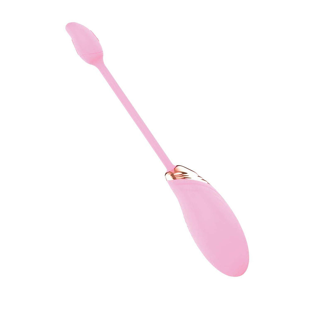 Blaze Dual Massager Kit Pink