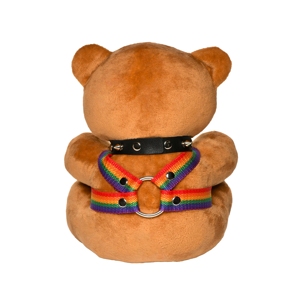 Master Series Pride Bear