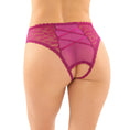 Load image into Gallery viewer, Daisy Crotchless Lace Panty Berry S/M
