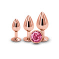 Load image into Gallery viewer, Rear Assets Trainer Kit Rose Gold Pink Gem
