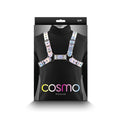 Load image into Gallery viewer, Cosmo Harness Rogue S/M
