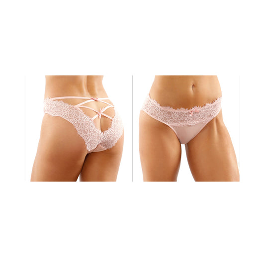 Ivy Lace & Mesh Bikini Panty S/M