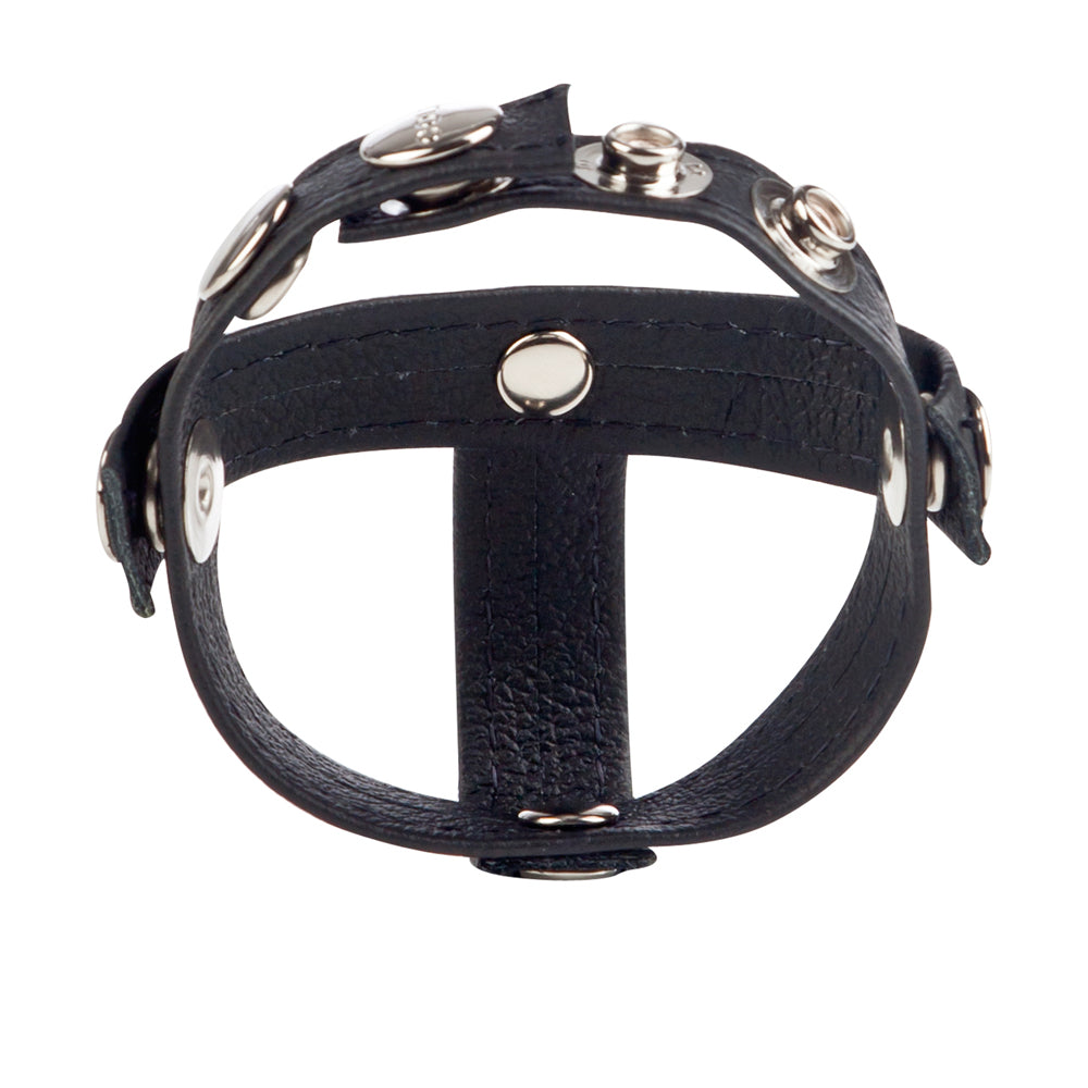 Colt Leather C/B Strap H-Piece Divider Black