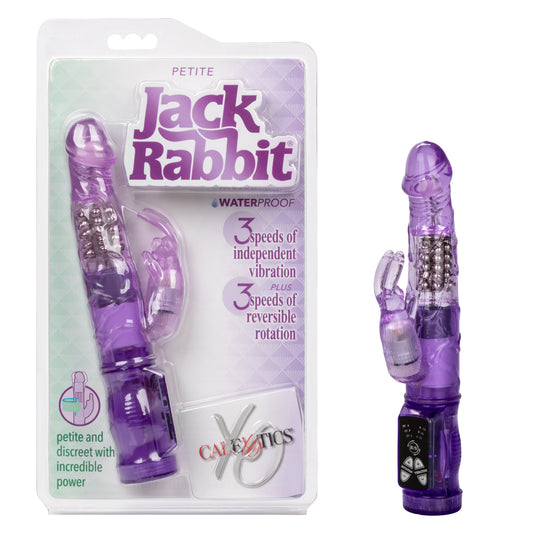 Jack Rabbit Petite Jack Rabbit Purple