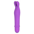 Load image into Gallery viewer, Shane’s World Bedtime Bunny Purple
