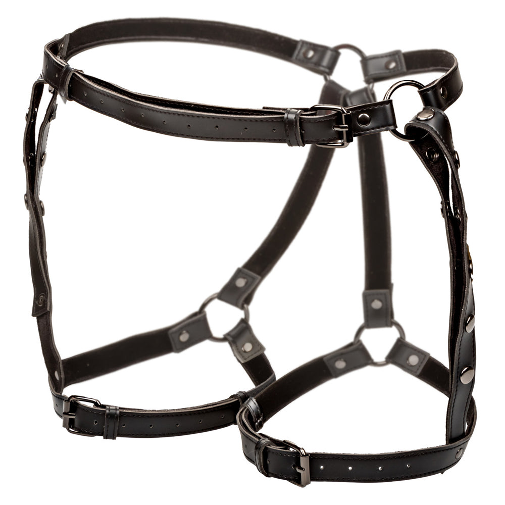 Euphoria Collection Plus Size Riding Thigh Harness