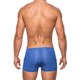 Load image into Gallery viewer, Seamless Sleek Short W/Sheer Pouch Blue L
