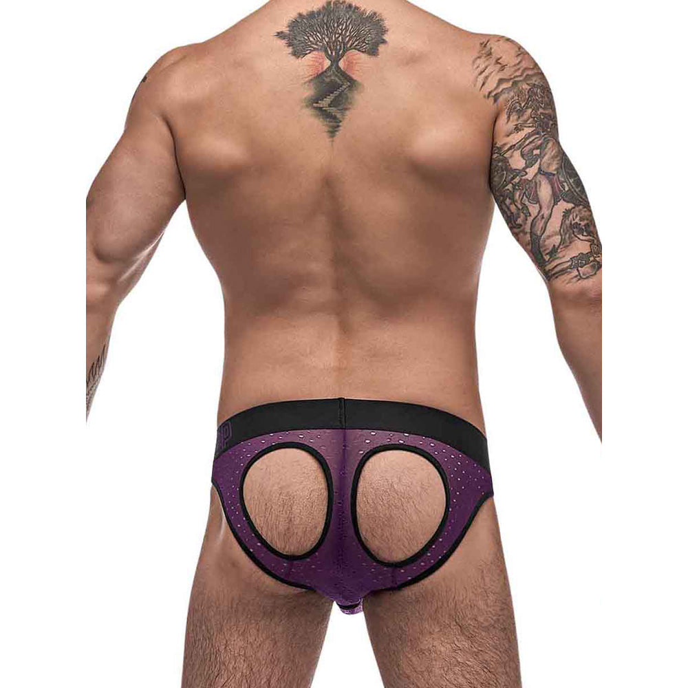 Airotic Mesh Butt Out Bikini Purple L